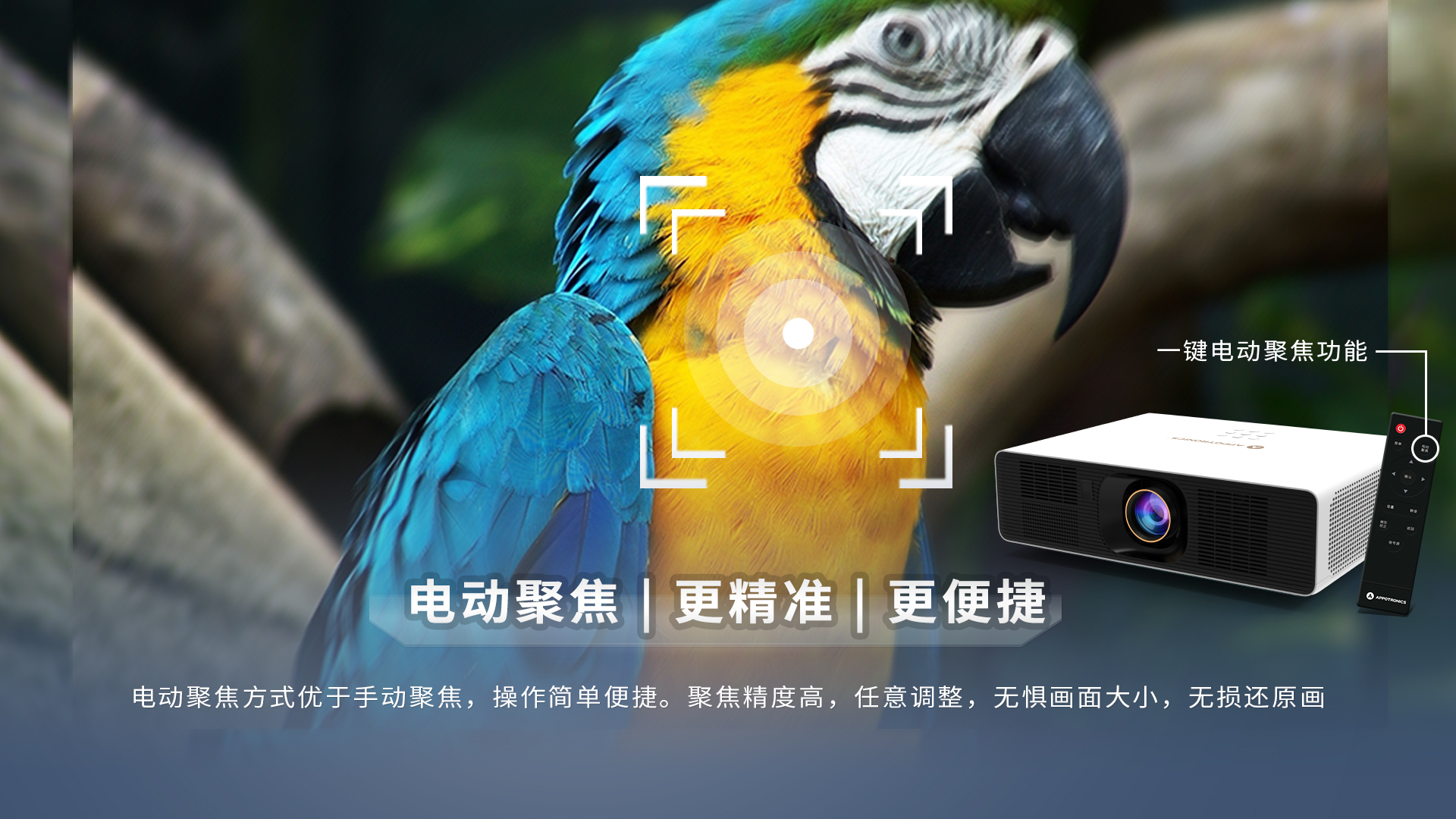 298手游网站-最好的娱乐游戏大厅