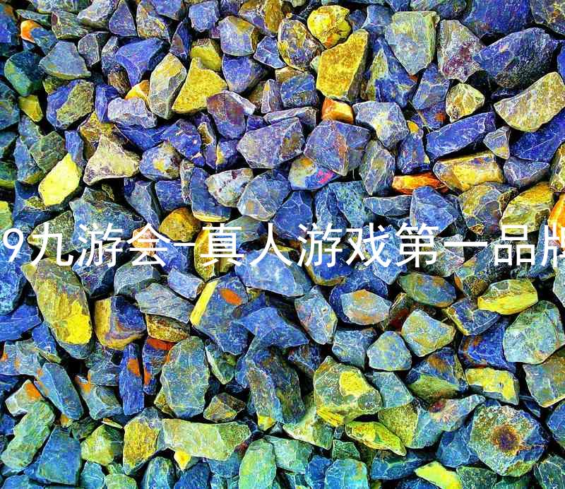 j9九游会-真人游戏第一品牌