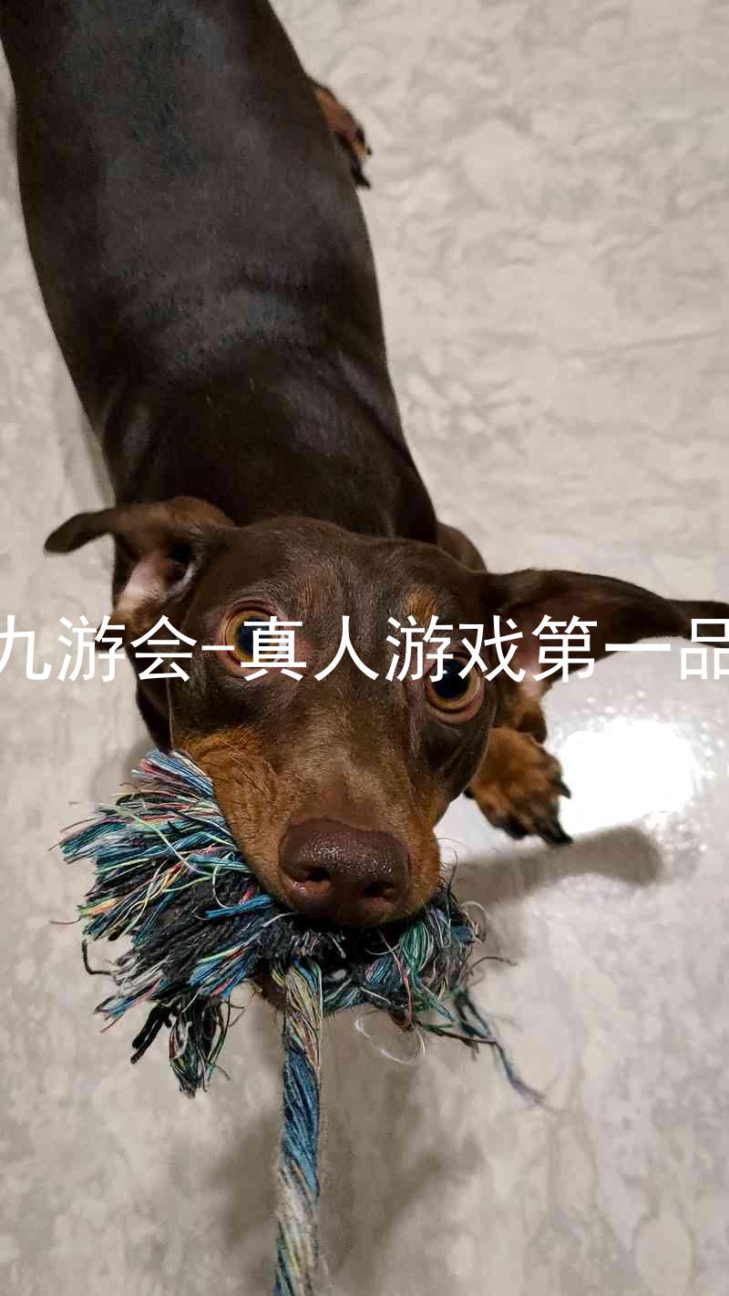 j9九游会-真人游戏第一品牌