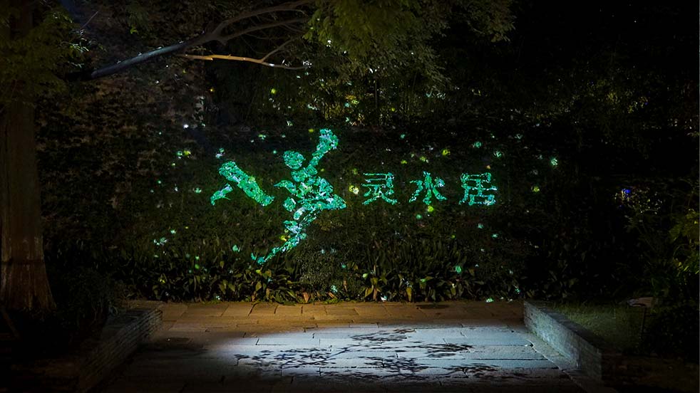 水幕投影 沉浸式光影秀 浙江乌镇《入梦灵水居》 298手游网站工程投影 树木投影 ALPD激光光源 